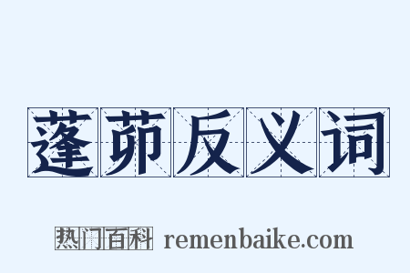 蓬茆反义词是什么意思的图片